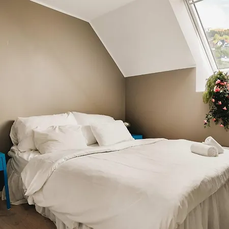 Leilighet Dinbnb L 100m To Bryggen L Pet Friendly L Sleeps 4 L Smart-tv